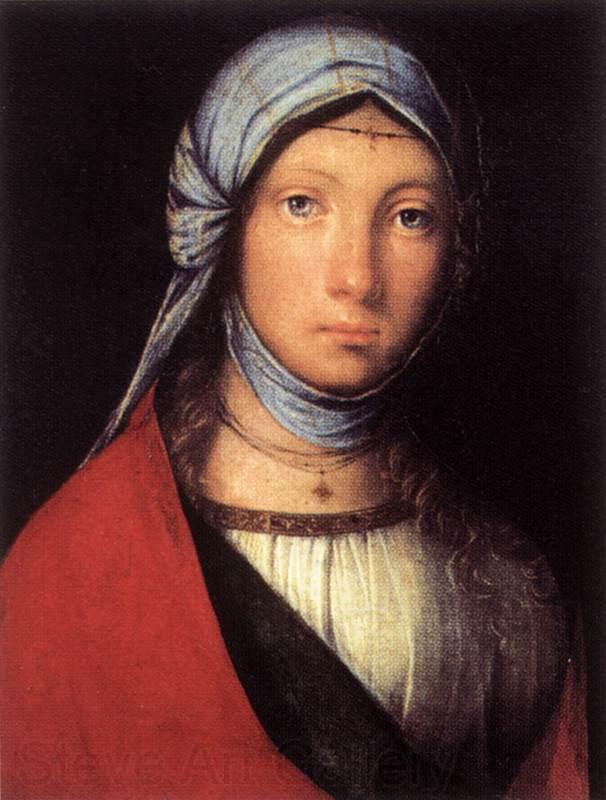 BOCCACCINO, Boccaccio Gypsy Girl f France oil painting art